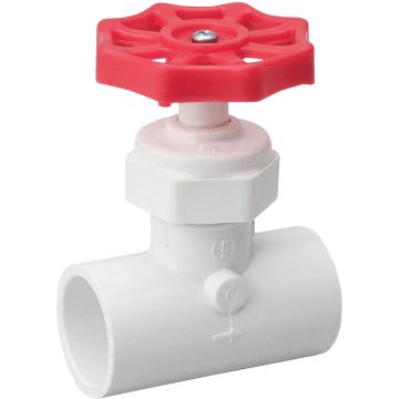 3/4" Pvc Globe Valve