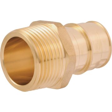 Image of the product