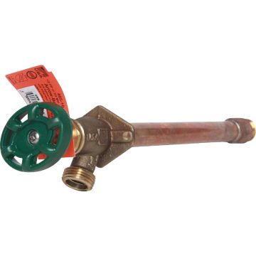 Image of the product