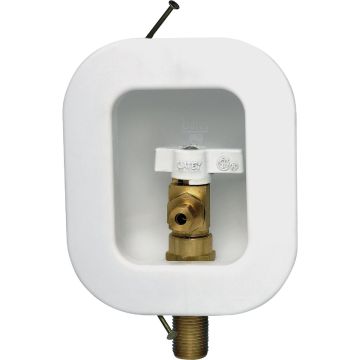 Image of the product