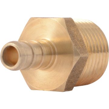 Image of the product