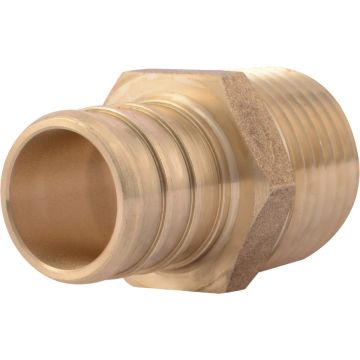 Image of the product