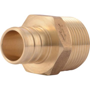 Image of the product