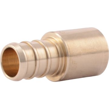 Image of the product