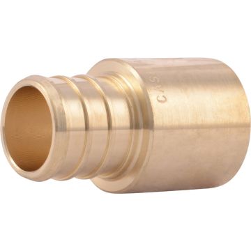 Image of the product