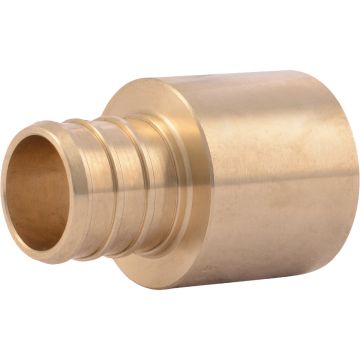 Image of the product