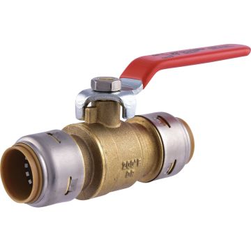 Image of the product