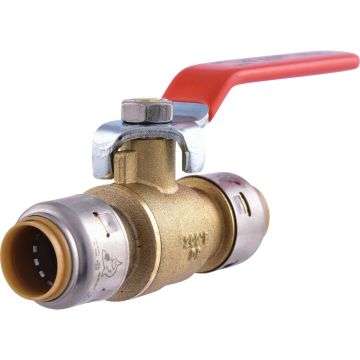 Image of the product