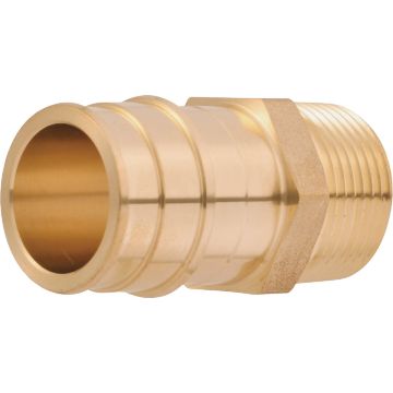 Image of the product