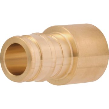 Image of the product