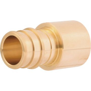 Image of the product