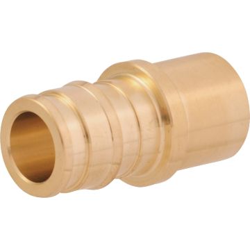 Image of the product