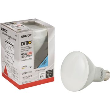 Image of the product