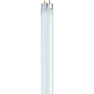 Satco 32W 47.8 In. Warm White T8 Medium Bi-Pin Fluorescent Tube Light Bulb