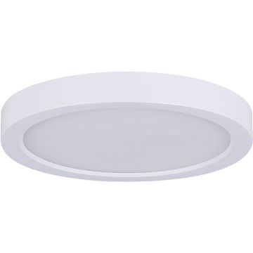 Canarm 7 In. White LED Disc Flush Mount Light Fixture