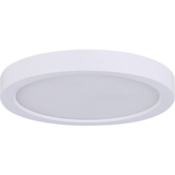 Canarm 11 In. White LED Round Disc Flush Mount Light Fixture