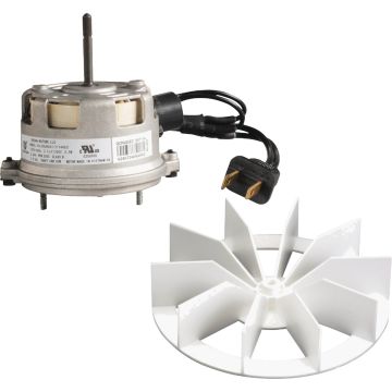 Image of the product