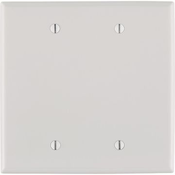 Leviton 2-Gang Mid-Way Thermoplastic Nylon Blank Wall Plate, White