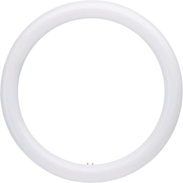 Satco 32W Equivalent 12 In. CCT-Selectable T9 Circline LED Tube Light Bulb