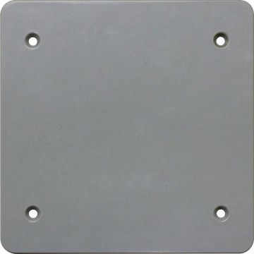 Southwire Double Gang Gray Non-Metallic Weatherproof Blank Cover