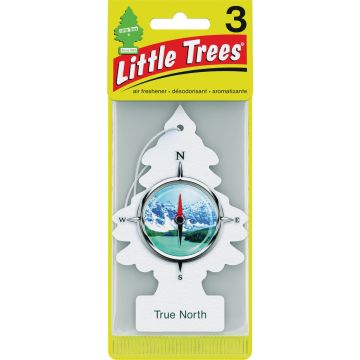 Little Trees Car Air Freshener, True North