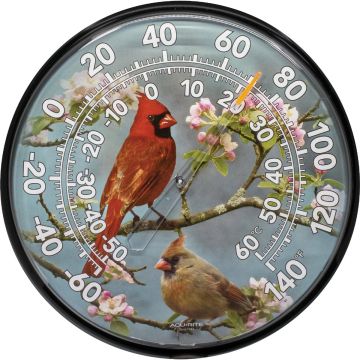 Acurite 12" Fahrenheit -60 To 140 Outdoor Wall Thermometer