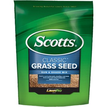 Image of the product