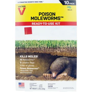 Image of the product