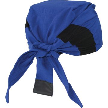 Radians Arctic Radwear Blue Paisley Cooling Head Shade