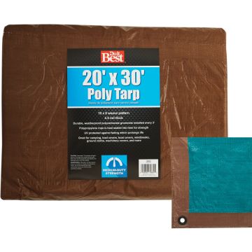 Image of the product