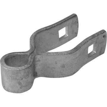 Image of the product