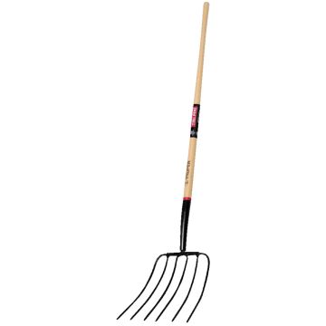 Image of the product