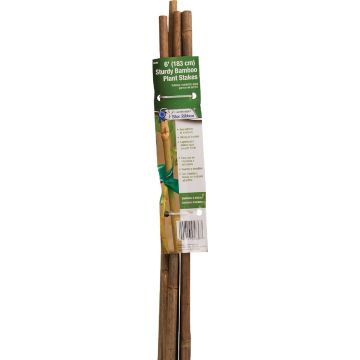 Gardener's Blue Ribbon 6 Ft. Natural Bamboo Heavy-Duty Plant Stake (6-Pack)