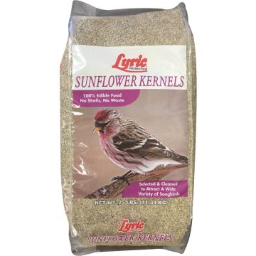 Image of the product
