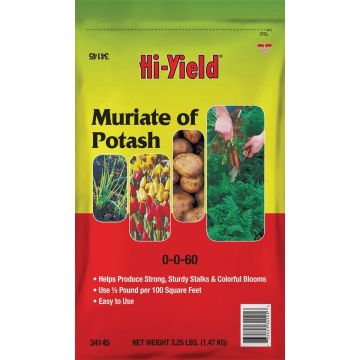 Image of the product