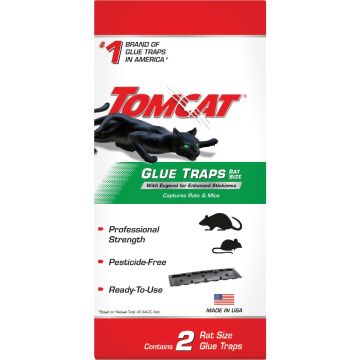 Image of the product