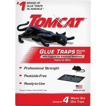 Image of the product