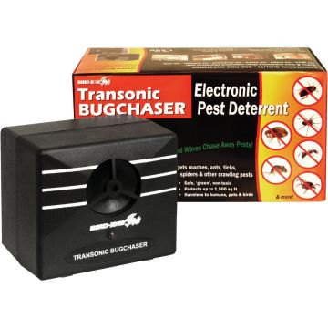 Image of the product