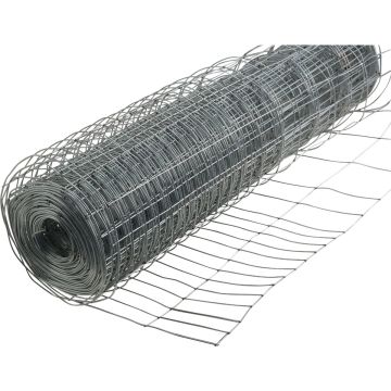 Image of the product