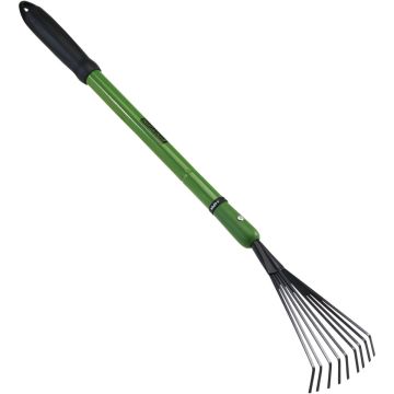 Image of the product