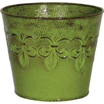 Image of the product