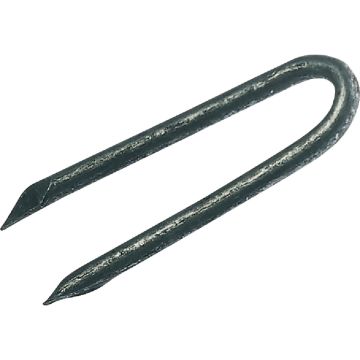 Do it Best 2-1/2 In. 6 ga Hot Galvanized Fence Staples (1300 Ct., 50 Lb.)