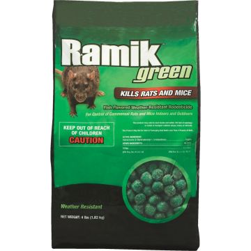 Image of the product