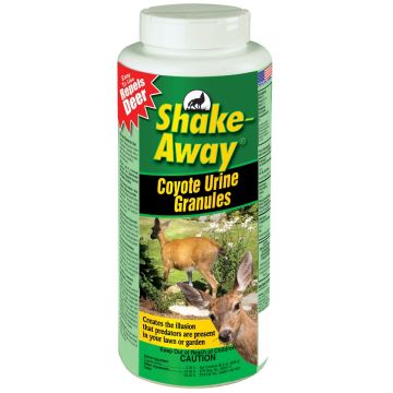 Image of the product