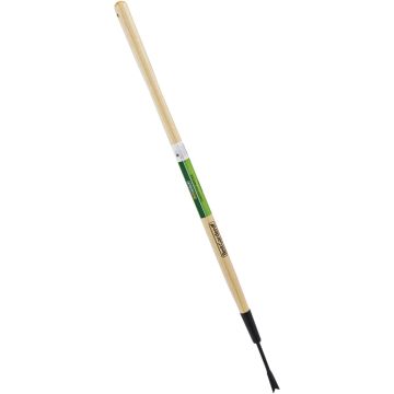 Image of the product