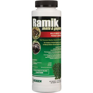 Image of the product