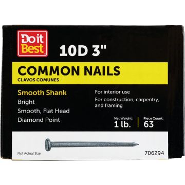 Do it 10d x 3 In. 9 ga Bright Common Nails (66 Ct., 1 Lb.)