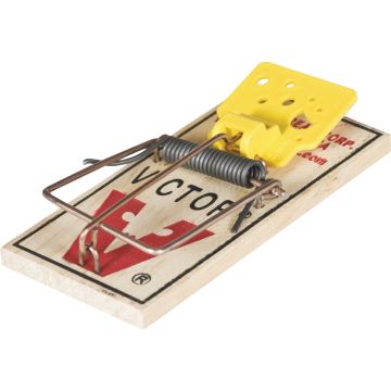 Image of the product