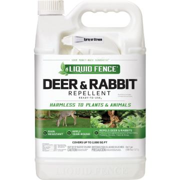 Image of the product