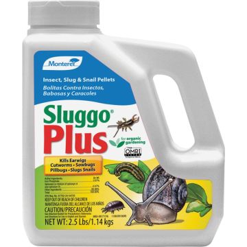 Image of the product